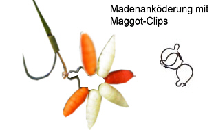 maggot-clips